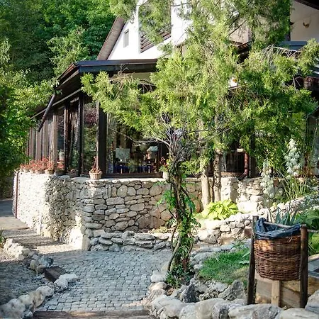 Pensiune-restaurant Tara Luanei Guest house