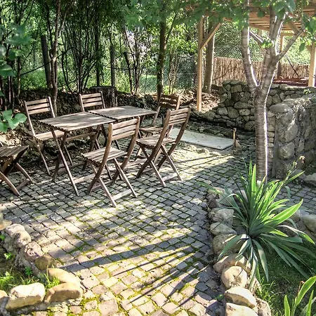 Pensiune-restaurant Tara Luanei Guest house 4*