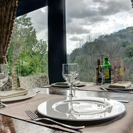 Guest house Pensiune-restaurant Tara Luanei 4*