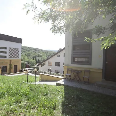 Pensiune-restaurant Tara Luanei 4*